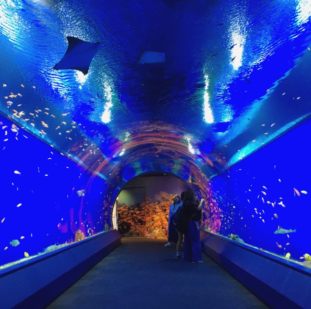 japonyaosakaaquariumkaiyukan Gezen Robot